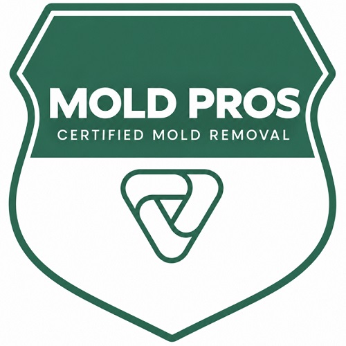 Sparks Mold Remediation Pros